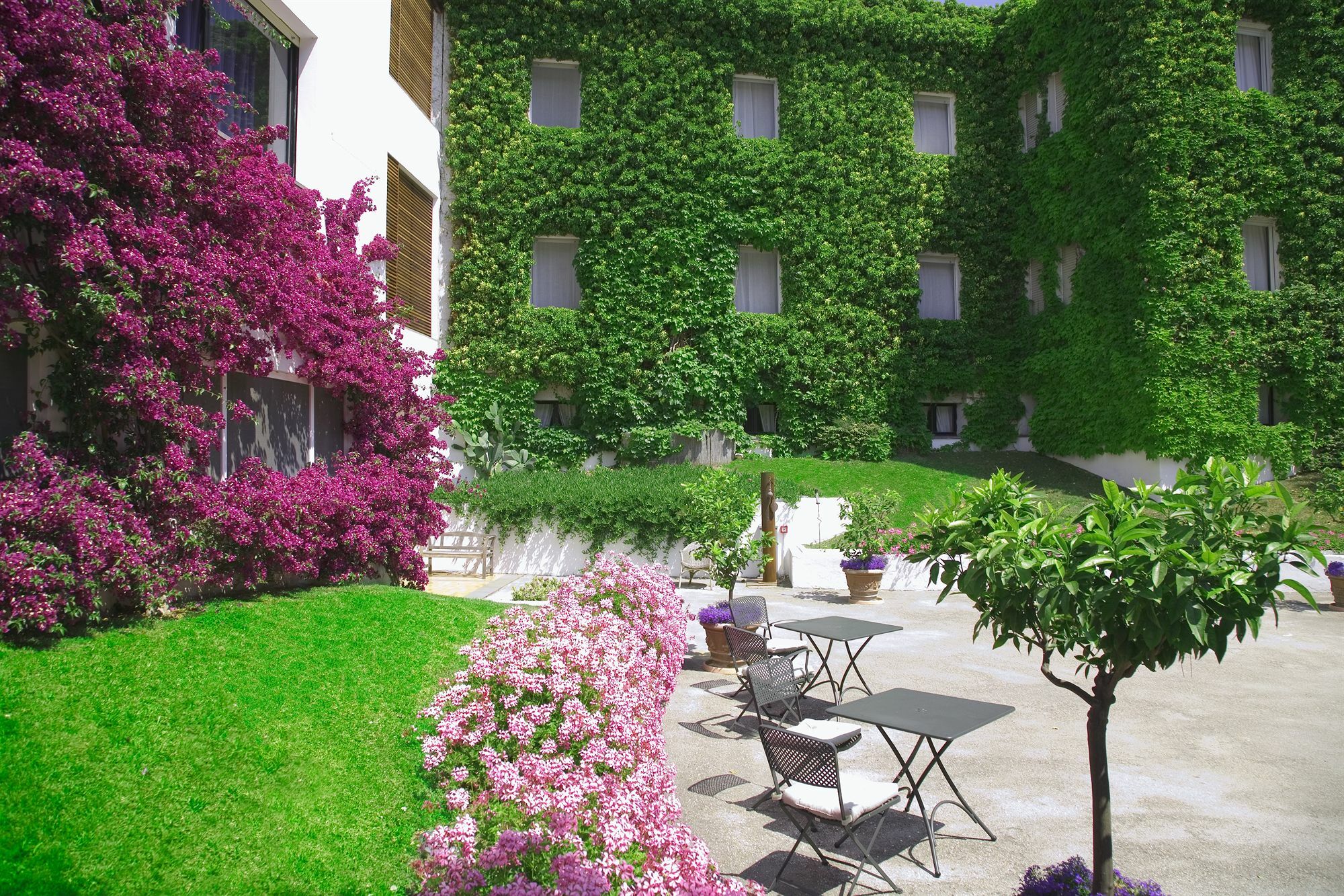 Hotel Emilia Ancona Exterior photo